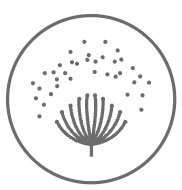 Micotoxinas Micotoxinas